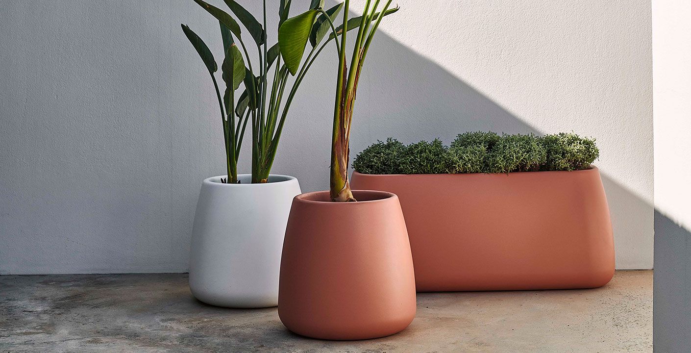 SAHARA by Gandia Blasco