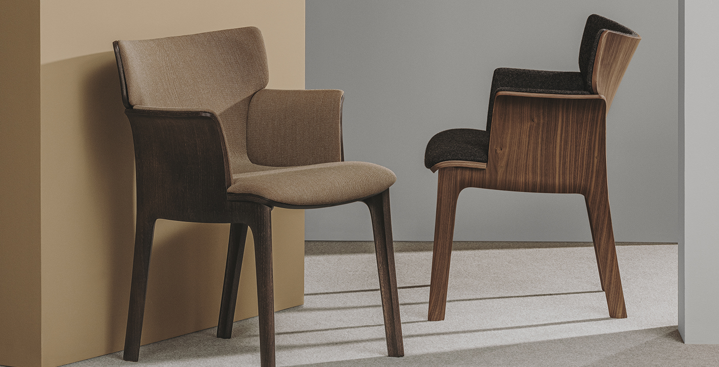 ADELA REX by Andreu World